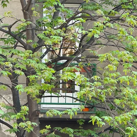 Justina Appartement *