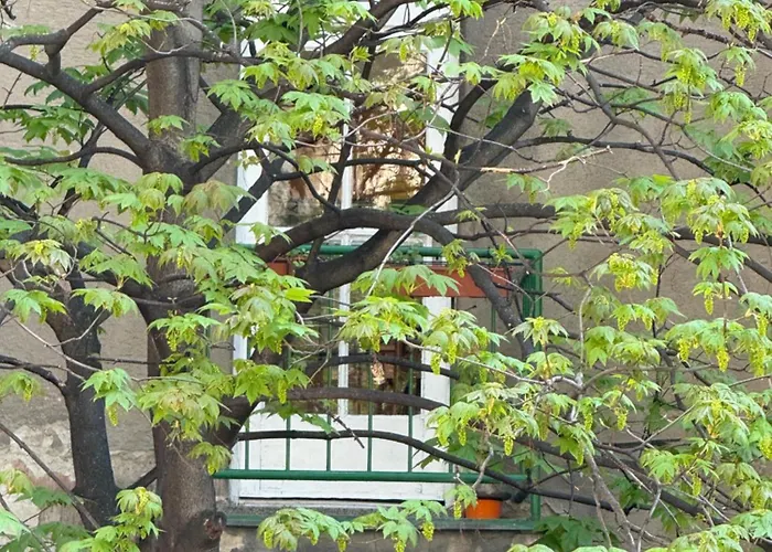 Justina Apartament *