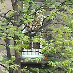Justina 아파트 *