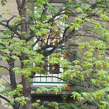 Justina Apartment *
